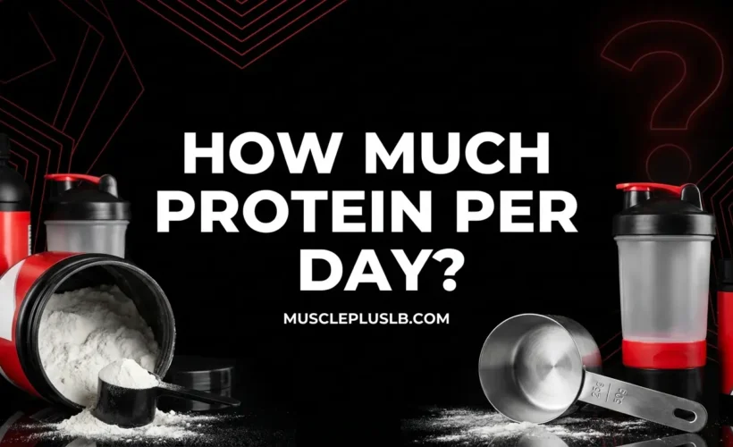 How Much Protein Per Day?