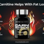 L-Carnitine: Does It Really Help With Fat Loss?