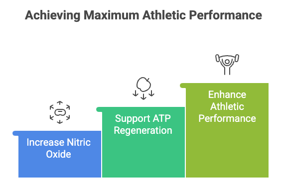 Citrulline Malate: Benefits for Pump and Performance
