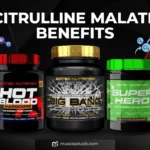 Citrulline Malate: Benefits for Pump and Performance