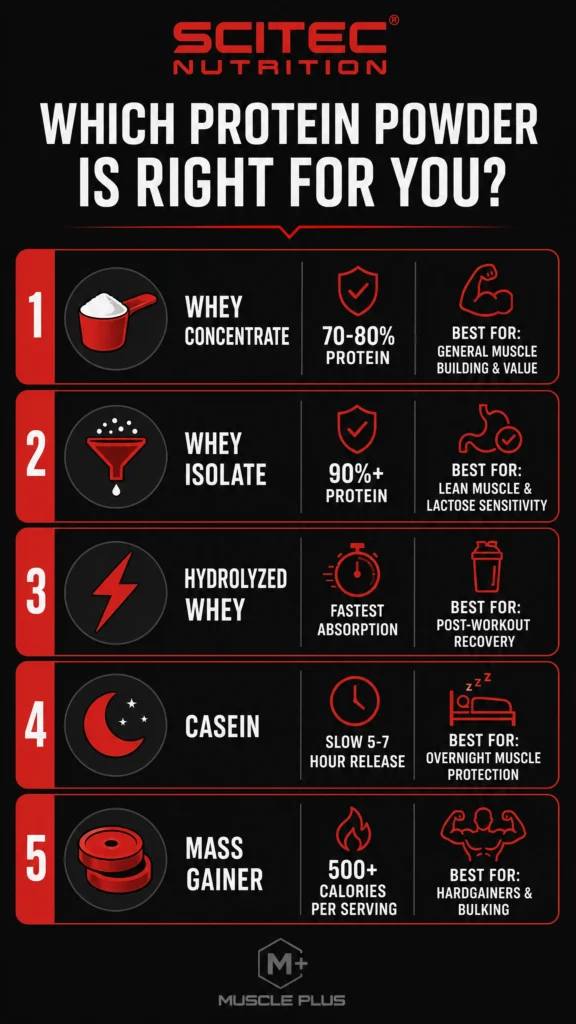 Protein powder types for muscle gain in Lebanon