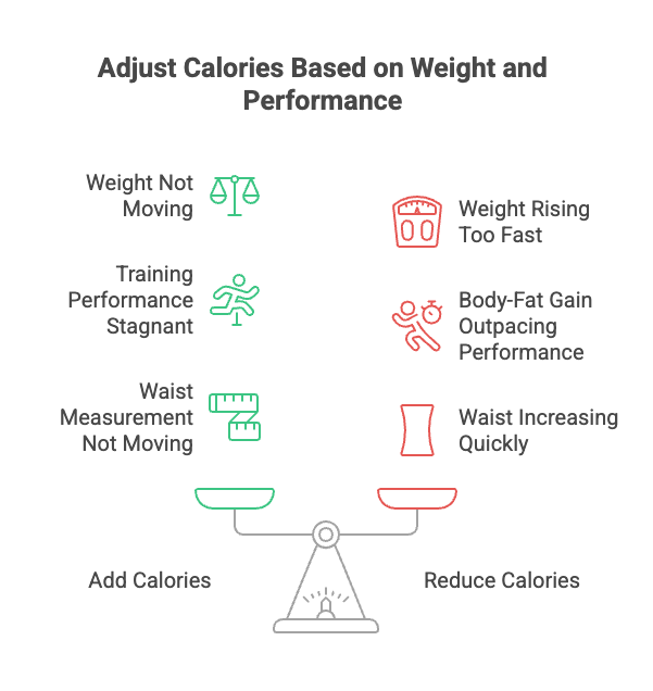 How Many Calories Do You Need to Build Muscle?