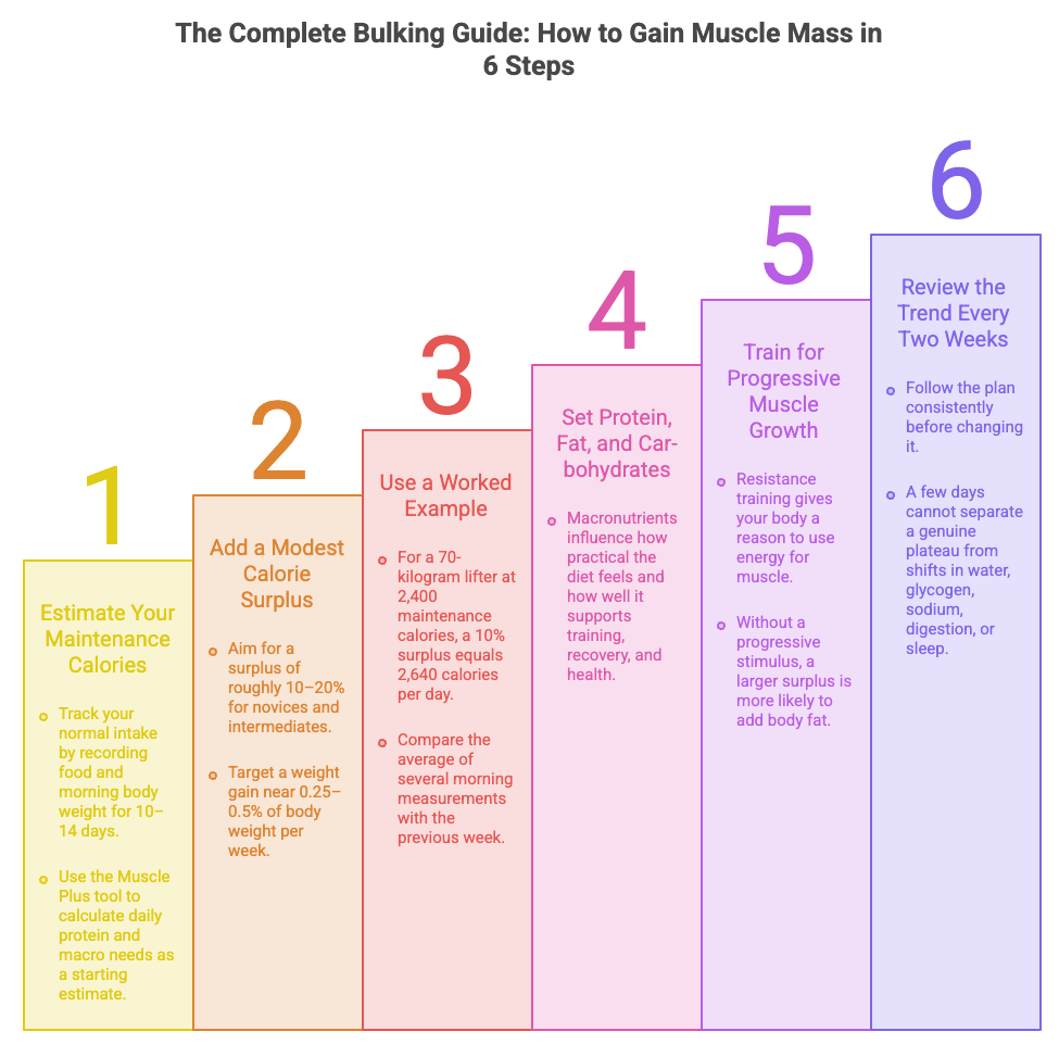 The Complete Bulking Guide: How to Gain Muscle Mass