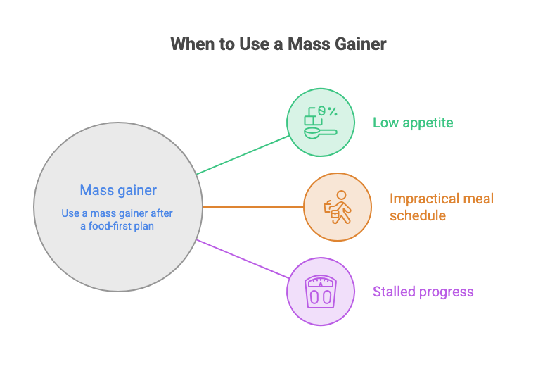 Mass Gainer Lebanon: When to Use One (Clean vs Dirty Bulk)