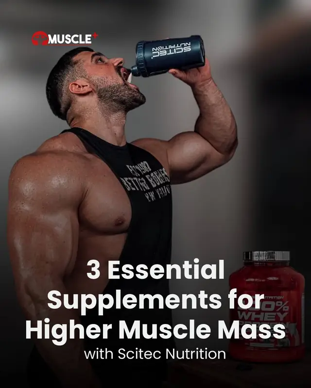 supplement store lebanon