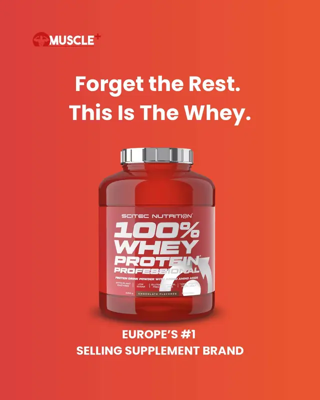 whey protein lebanon